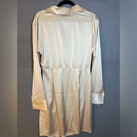 Cider L Champagne Satin Split Neck Collared Long Sleeve Gathered Side Dress - Picture 4 of 4